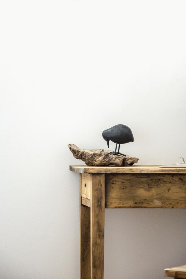 Le Roi Des Oiseaux - Gite A La Campagne Montcavrel Luaran gambar
